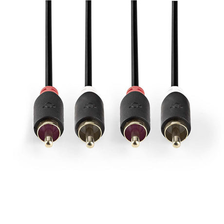 Kabel 2x Cinch konektor/2x Cinch konektor 2m NEDIS CABW24200AT20