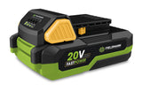 Baterie FIELDMANN 20V 2000mAh FDUZ 79020