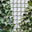 Síť na rostliny GARDEN OF EDEN 11467