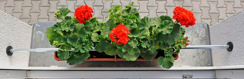 Držák truhlíku na parapetu AGRO 165 - 240 cm