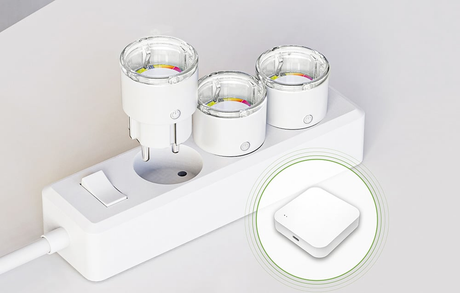 Smart zásuvka GOSUND EP2-Z 10A ZigBee 2ks